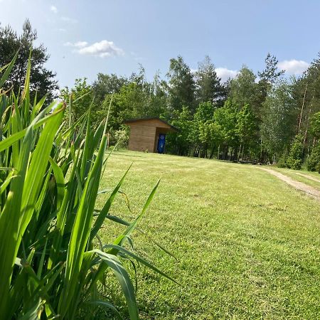 Lesne Zacisze-Pole Namiotowe Pisklaki Exterior foto
