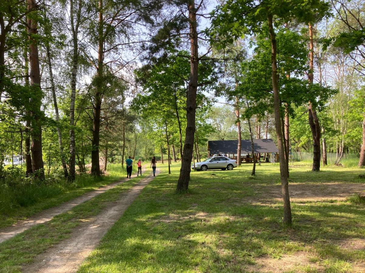 Lesne Zacisze-Pole Namiotowe Pisklaki Exterior foto