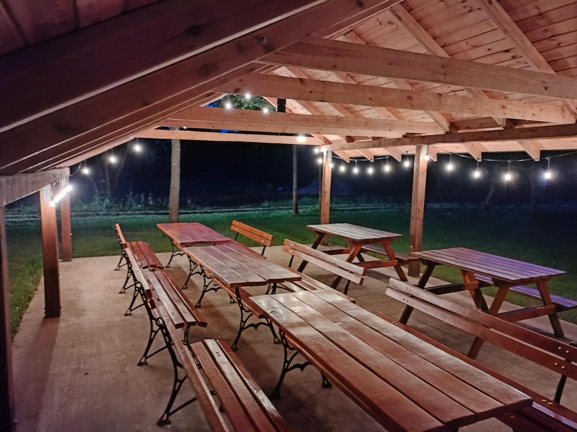 Lesne Zacisze-Pole Namiotowe Pisklaki Exterior foto